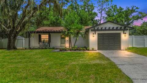 3818 MERIDEAN PLACE, LAND O LAKES, FL 34639