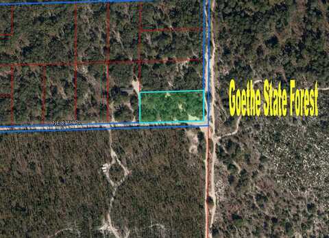 Tbd NE 87TH PLACE, BRONSON, FL 32621