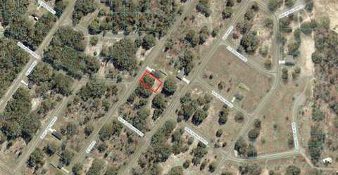Tbd GUAVA LN, OCKLAWAHA, FL 32179
