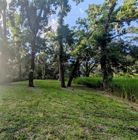 1206 DAVIES AVENUE, BRANDON, FL 33511