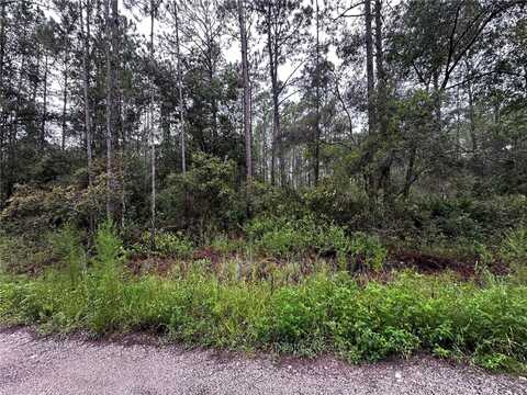 NE 66TH AVE, CITRA, FL 32113