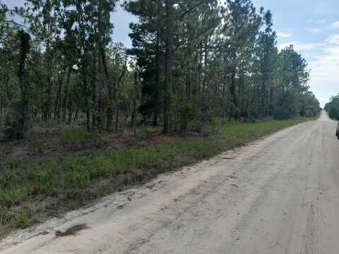 Tbd SE 4TH STREET, WILLISTON, FL 32696