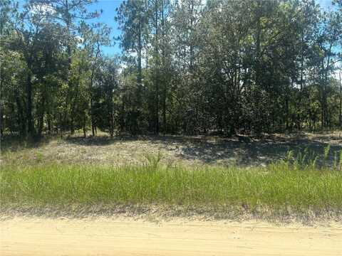 0000 SW 134TH AVENUE, DUNNELLON, FL 34432