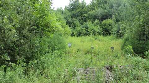 Lot # 32 Robbins Road, Albion, ME 04910