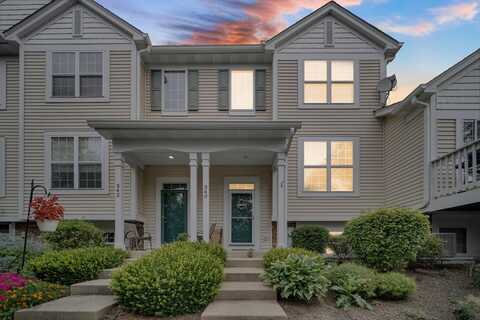 340 Terra Springs Circle, Volo, IL 60020