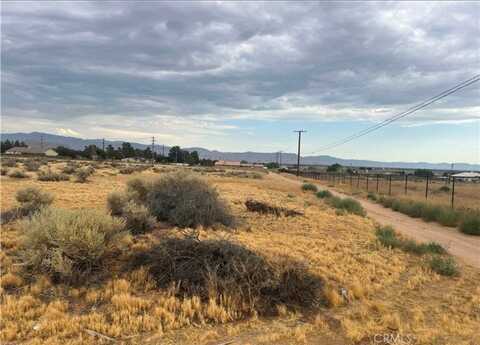 22421 Tinega, Apple Valley, CA 92307