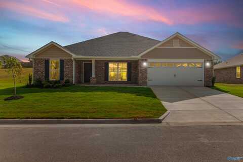 14388 Wildflower Drive, Harvest, AL 35749