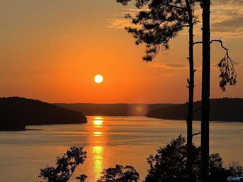Lot 65 Fall Creek Drive, Guntersville, AL 35976