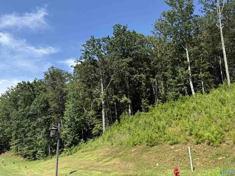 Lot 80 Boathouse Drive, Guntersville, AL 35976