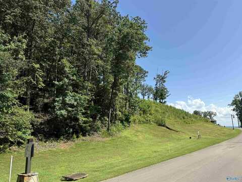 Lot 81 Boathouse Drive, Guntersville, AL 35976