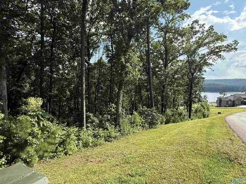 Lot 110 Boathouse Drive, Guntersville, AL 35976