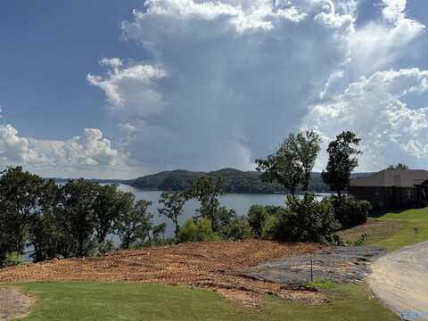 Lot 105 Ryan Drive, Guntersville, AL 35976