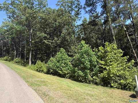 Lot 115 Boathouse Drive, Guntersville, AL 35976