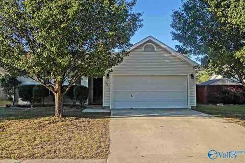 166 Sandy Hollow Drive, Madison, AL 35757