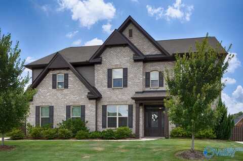 111 Citation Drive, Madison, AL 35756