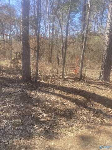 Lot 3 County Road 642, Cedar Bluff, AL 35959