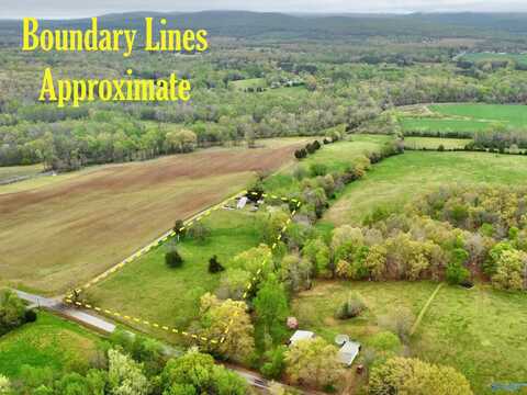 239 Mint Springs Road, New Market, AL 35761