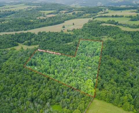0 Sanitarium Hill Road, Mainesburg, PA 16932