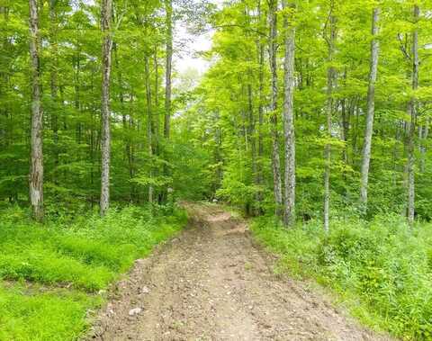 0 Sanitarium Hill Road, Mainesburg, PA 16932