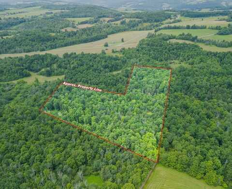0 Sanitarium Hill Road, Mainesburg, PA 16932
