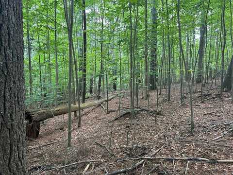 L 10&16 Josie Drive, Blairsville, GA 30512