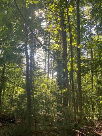 Lot 35 Middle Creek Road, Blairsville, GA 30512