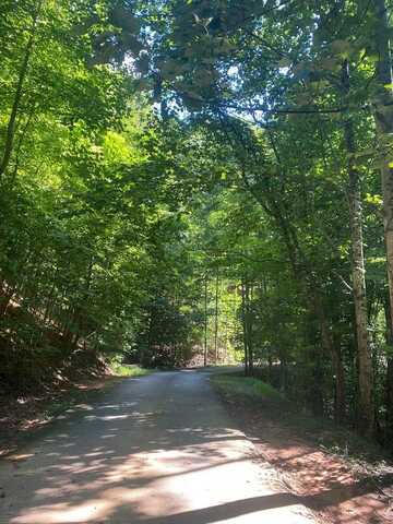 AJ's Holler, Blairsville, GA 30512