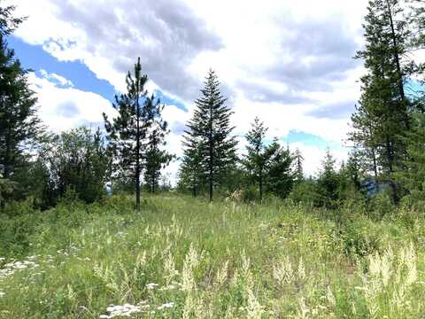 #U BUFFY LN, INCHELIUM, WA 99138