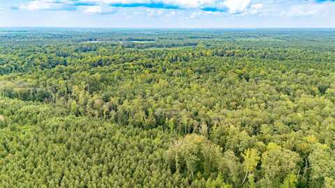 10.88 AC Beech Creek Road, Gloucester, VA 23061