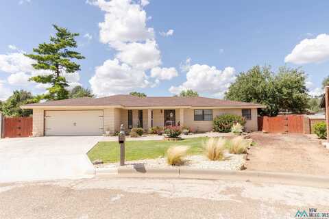 3633 Palmer Court, Clovis, NM 88101