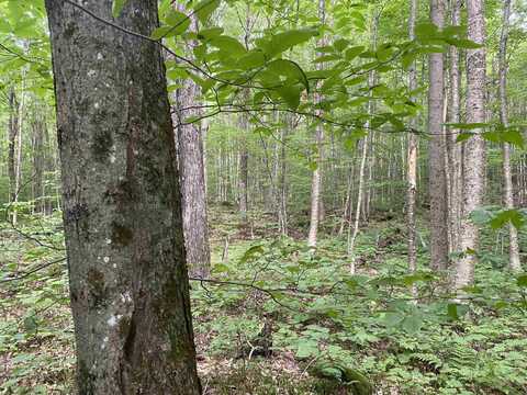 0 Maple Street, Jay, VT 05859
