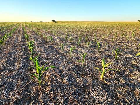 TBD County Road 59, Yuma, CO 80759