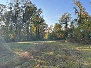 136 Malmaison Headquarters Rd, Holcomb, MS 38940