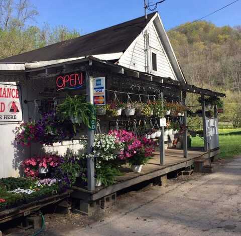23350 S. Calhoun Hwy, Chloe, WV 25235