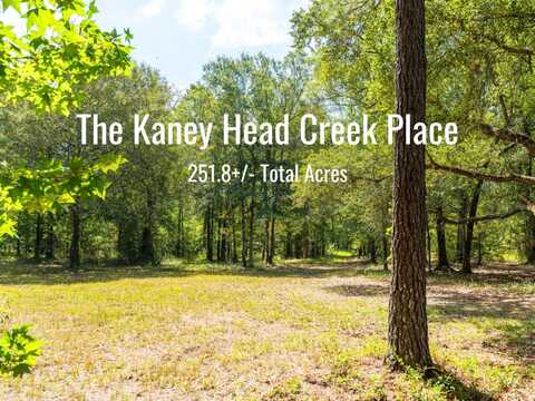 00 Stein Road, Blakely, GA 39823