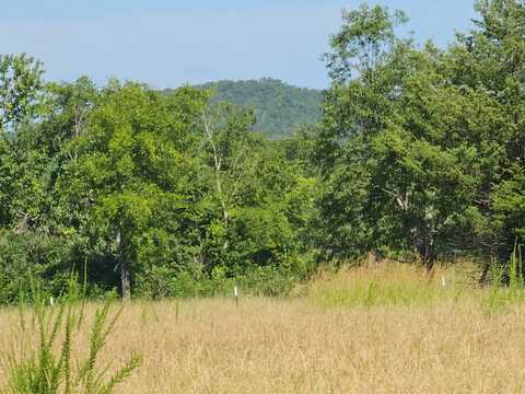 Cole Spur Loop, Tuskahoma, OK 74574