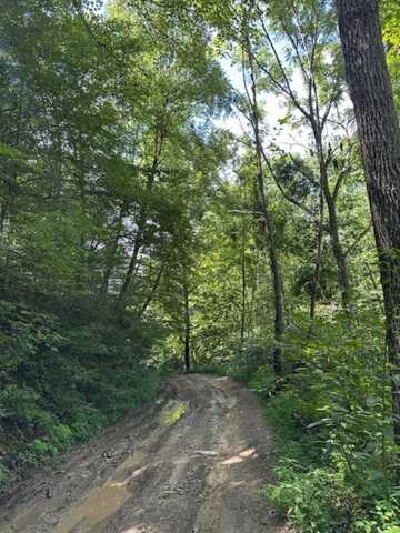 1000 Howard Fork Road, Gunlock, KY 41465