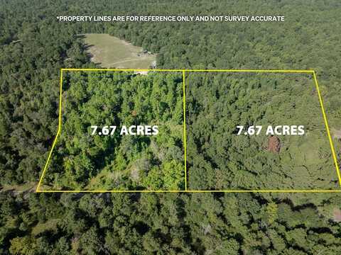 000 An County Road 195 TRACT 7A(1), ELKHART, TX 75839