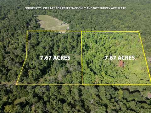 000 An County Road 195 TRACT 7A(2), ELKHART, TX 75839