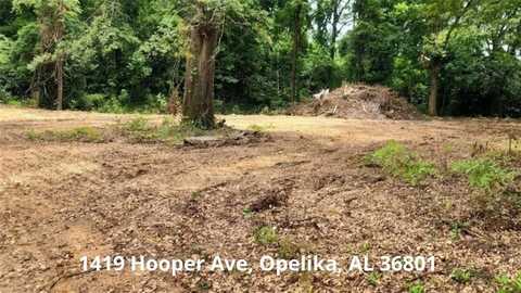 1414 Central Of Ga, Opelika, AL 36801