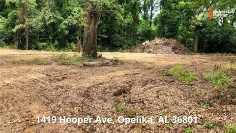 1414 Central Of Ga, Opelika, AL 36801