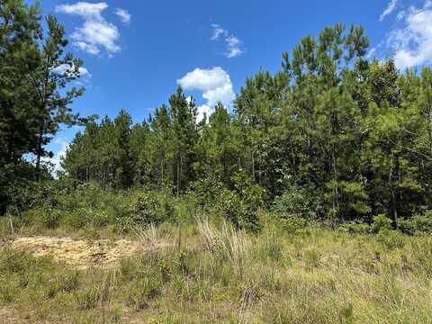 0 N Hwy 43, Poplarville, MS 39470