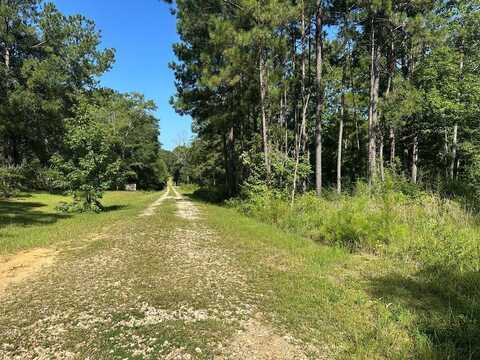 0 Slade Woodward, Poplarville, MS 39470
