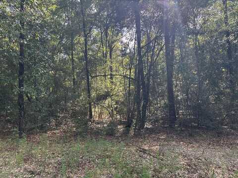 0 Lazy B Rd, Lumberton, MS 39455