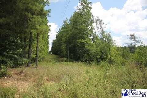 TBD 3 Sweeney Rd, Chesterfield, SC 29709