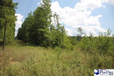 TBD Lot 2 Sweeney Rd, Chesterfield, SC 29709