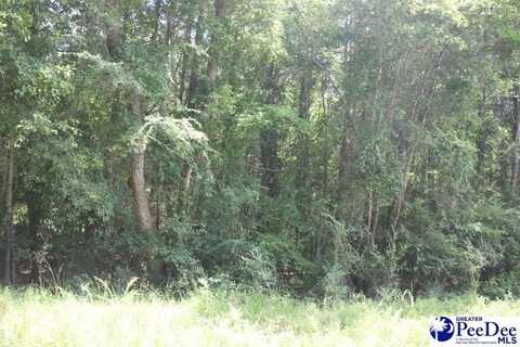 TBD Hwy 145 N, Chesterfield, SC 29709