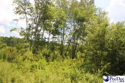 224 Sweeney Rd, Chesterfield, SC 29709