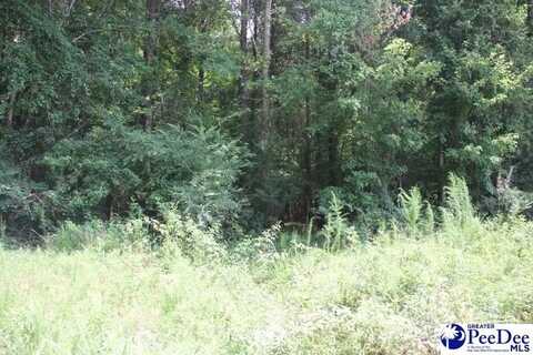 TBD 2 Hwy 145 N, Chesterfield, SC 29709