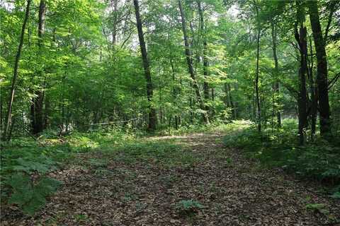 Lot 11 103rd Street Streets, Frederic, WI 54837